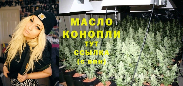винт Абаза