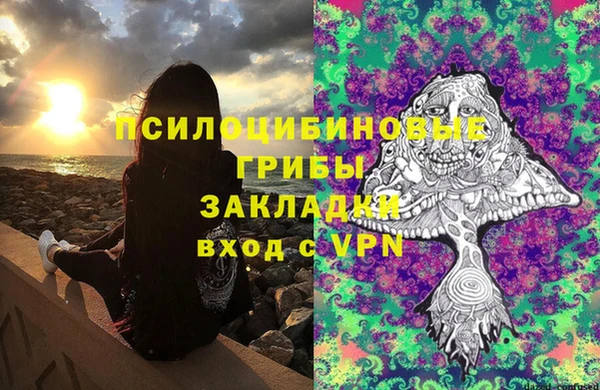 стафф Абдулино