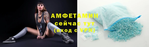 винт Абаза